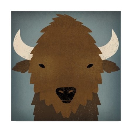 TRADEMARK FINE ART Ryan Fowler 'Buffalo Ii' Canvas Art, 14x14 WAP06273-C1414GG